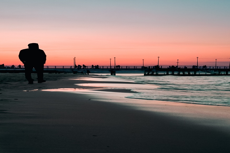 2025 Dog-Friendly Melbourne Beach Guide